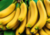 Regional Vegan Guides: U.S. and Beyond